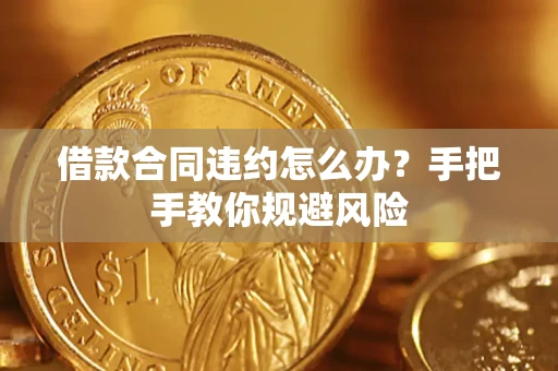武汉借款合同违约怎么办？手把手教你规避风险