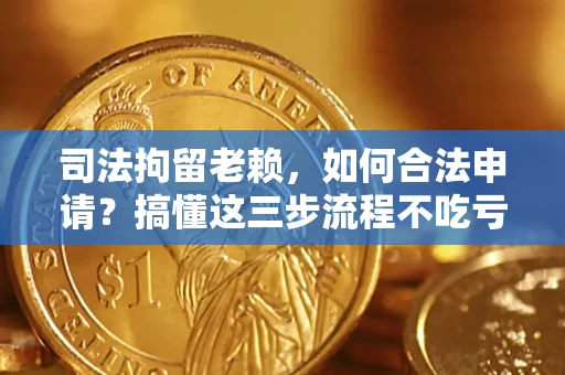 武汉司法拘留老赖，如何合法申请？搞懂这三步流程不吃亏！