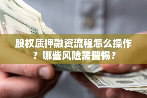 武汉股权质押融资流程怎么操作？哪些风险需警惕？