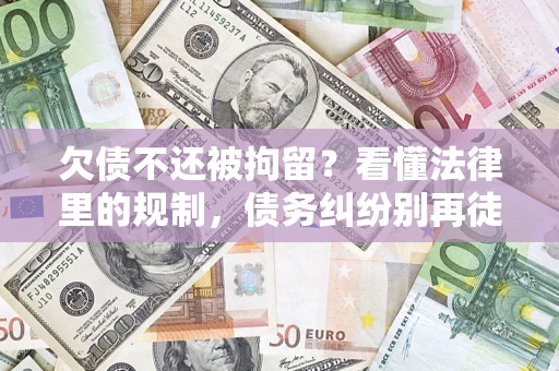 武汉欠债不还被拘留？看懂法律里的规制，债务纠纷别再徒劳奔波