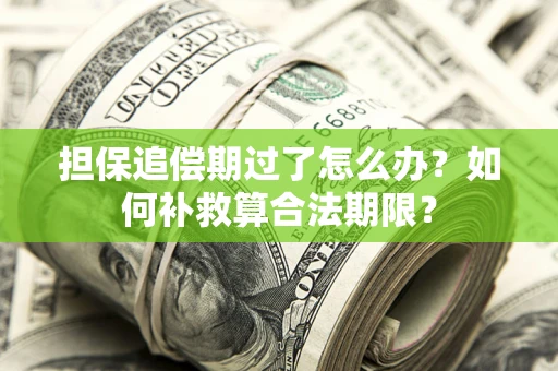 武汉担保追偿期过了怎么办？如何补救算合法期限？