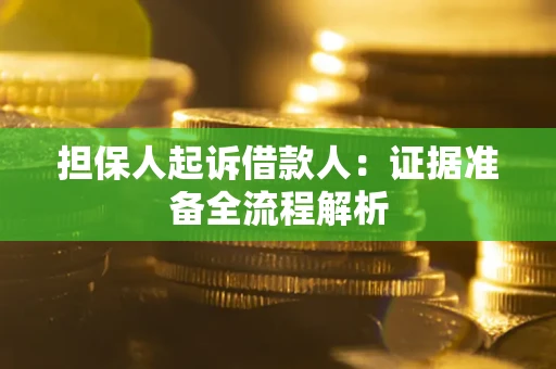 武汉担保人起诉借款人：证据准备全流程解析