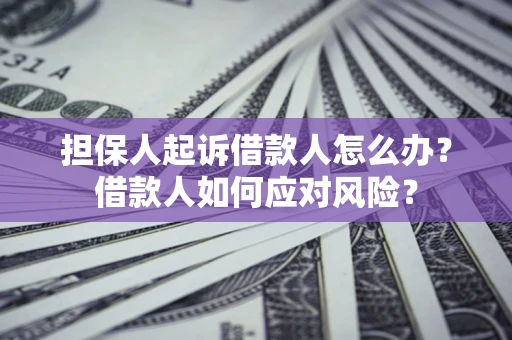 武汉担保人起诉借款人怎么办？借款人如何应对风险？