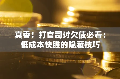 武汉真香！打官司讨欠债必看：低成本快胜的隐藏技巧