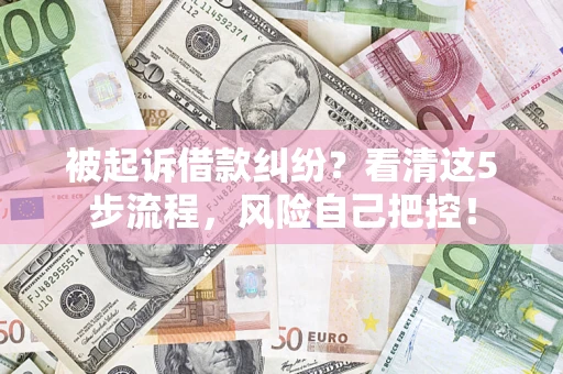 武汉被起诉借款纠纷？看清这5步流程，风险自己把控！